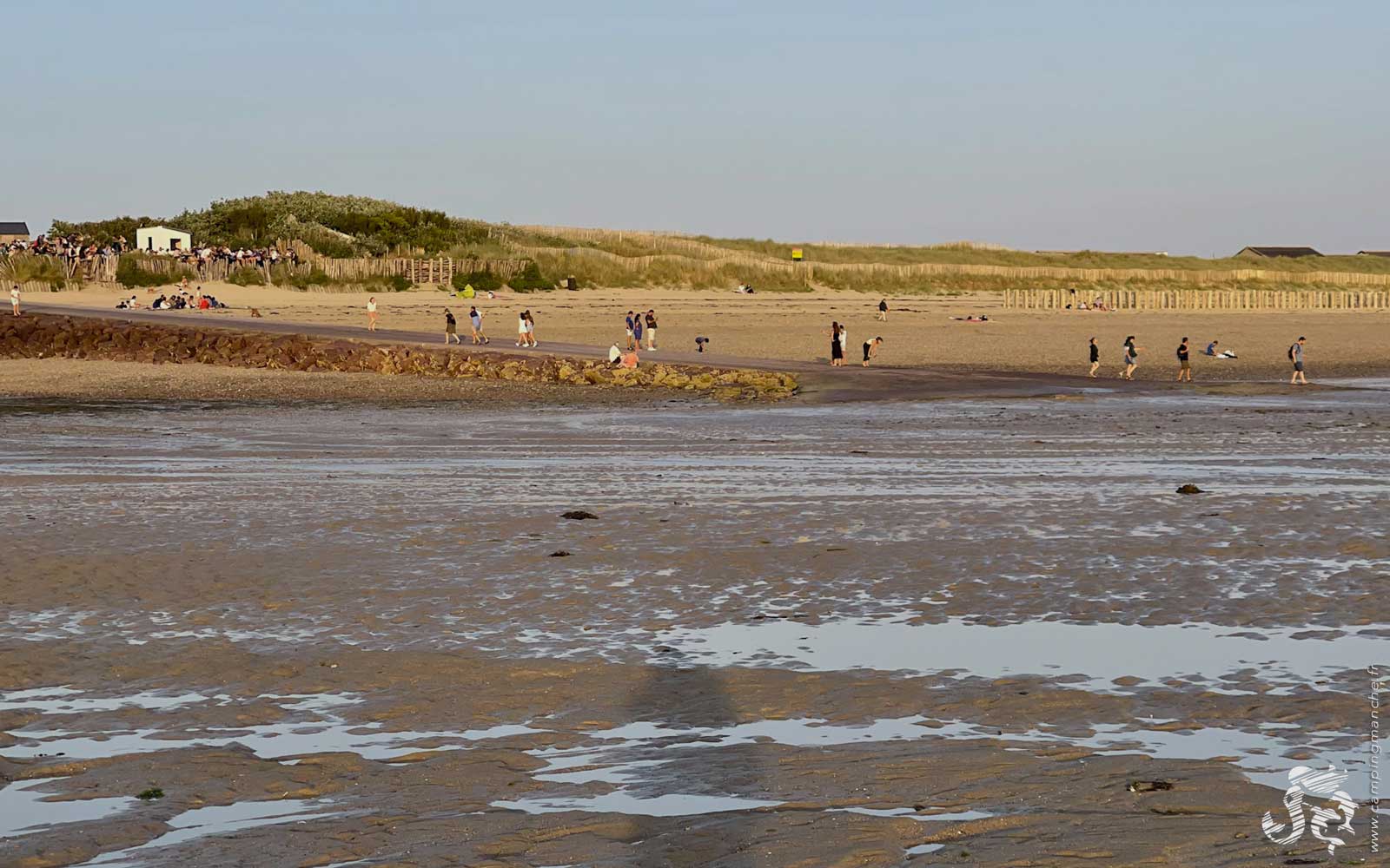 Pêche à pied : les délices de l’estran